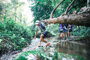 BIB: 
                            <button type="button" onclick="openModal(25443341)" class="btn btn-primary btn-sm float-right btn-popup" data-toggle="modal" data-target=".modal-high-quality">
                        <i class="fas fa-shopping-cart"></i> Add to Cart
                    </button>
                                            <button type="button" onclick="isThisMe(25443341, true)" class="btn btn-success btn-sm float-right btn-popup btn-isme hidden" data-toggle="tooltip" data-placement="bottom" title="นี่คือรูปของคุณใช่ไหม คลิกที่นี่เพื่อเอาเข้าอัลบั้ม">
                        <i class="fas fa-plus"></i> Add to album
                    </button>
                    <button type="button" onclick="isThisMe(25443341, false)" class="btn btn-warning btn-sm float-right btn-popup btn-isnotme hidden">
                        <i class="fas fa-ban"></i> Remove from album
                    </button>